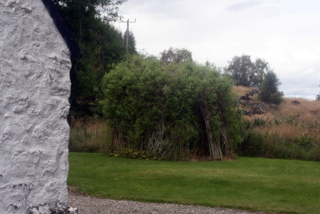 Blackwater Hall - accommodation in the Glenshee, Perthshire Glens